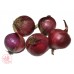 Onion Red